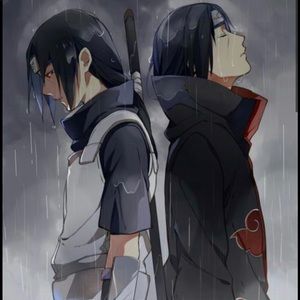 Meet your Posher, Sammy